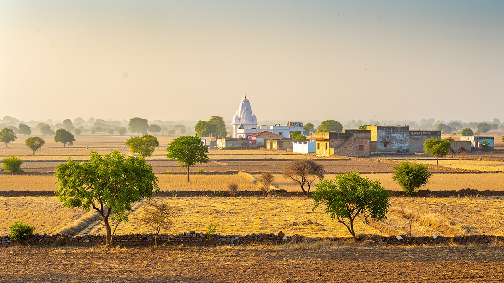 Golden farmland of the Zalawad region with a distant temple tower on the horizon